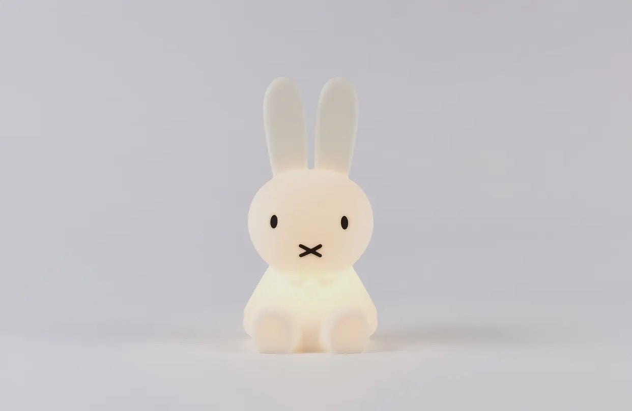 Miffy Bundle of Light (C-2)