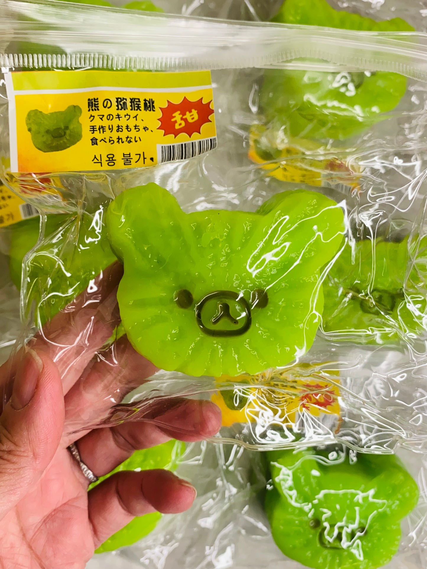 Bear Kiwi Taba Squishy