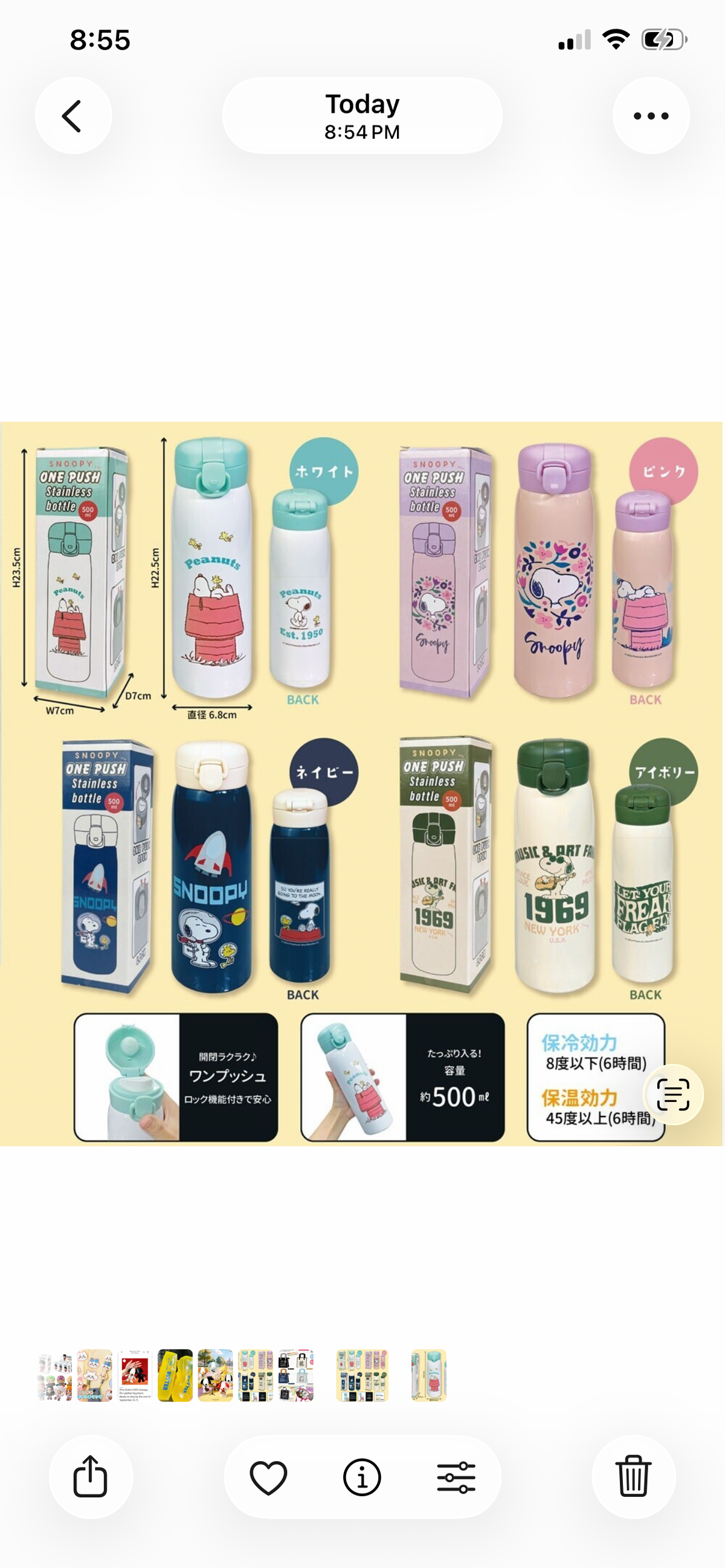 Snoopy Stainless Steel Tumbler Bottle