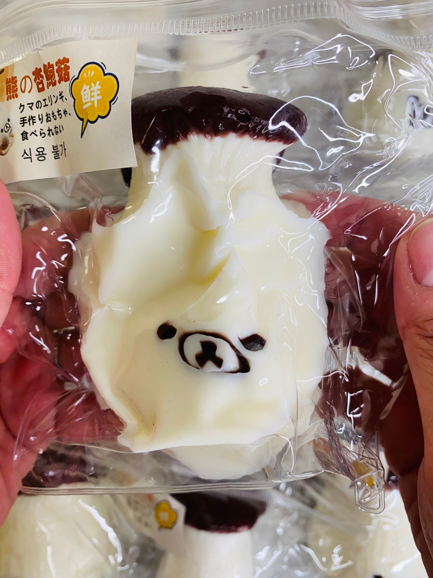 Bear Otsyer Mushroom Taba Squishy