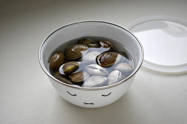 Miffy Enamel Mixing Bowls Set (A-2)