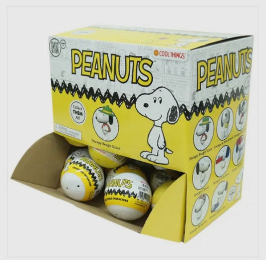 Peanuts Snoopy Friends Capsule Collectible Figures -Single Capaule
